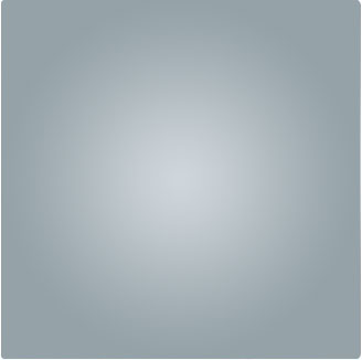 Mr. Itireleng Lekgaba